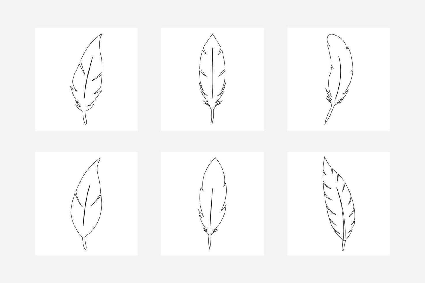 set of hand drawn feathers.Black Feather Set Elegant Outline Illustration for Design vector