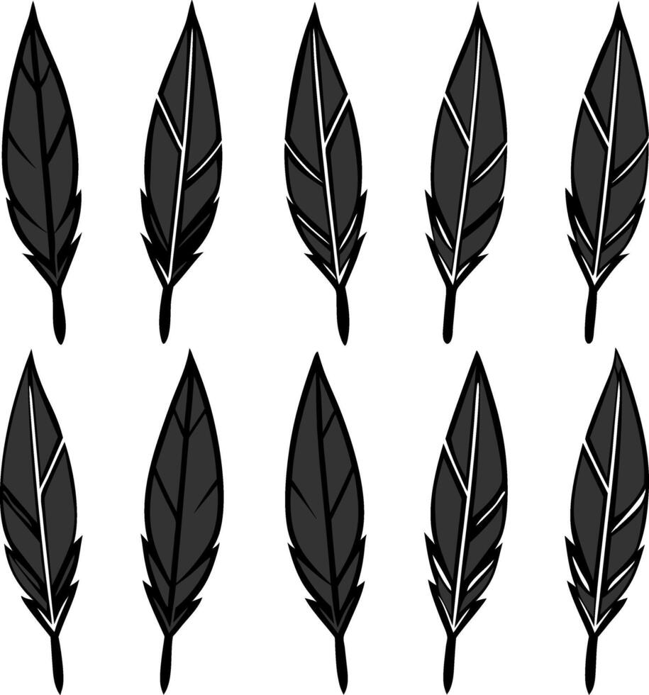 Black Feather Set Elegant Outline Illustration for Design and Decoration vector