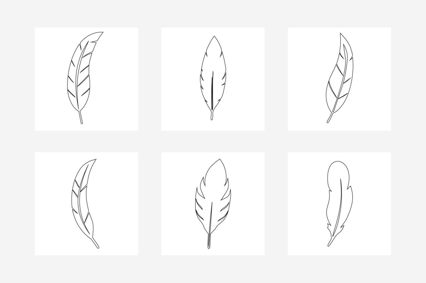 Black Feather Set Elegant Outline Illustration for Design vector