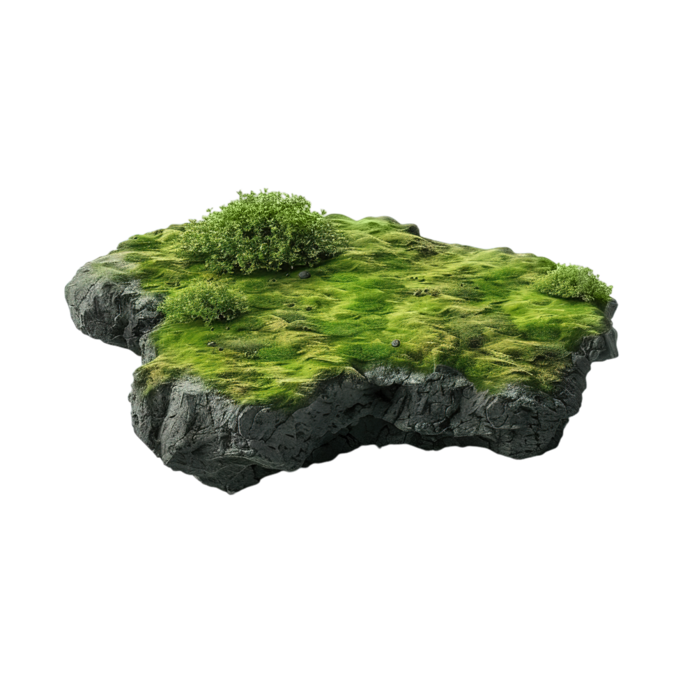 Piece of Meadow Land on Transparent Background png