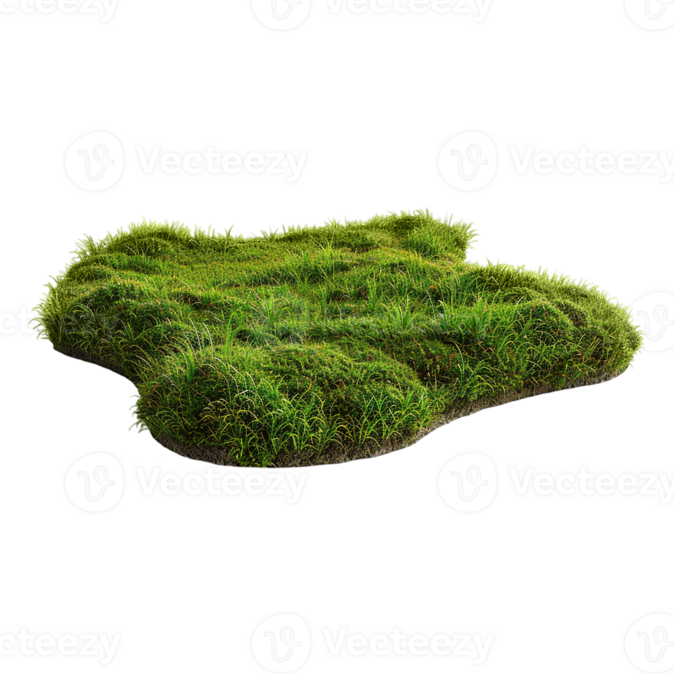 Piece of Green Grass Land on Transparent Background png