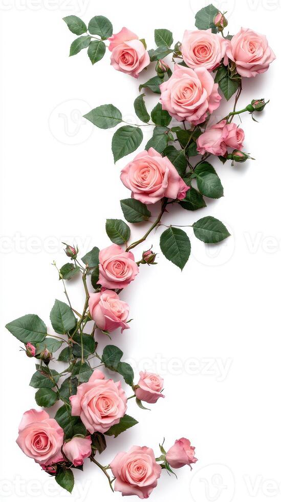 Beautiful arrangement of pink roses with foliage on a light background perfect for decoration or design elements photo