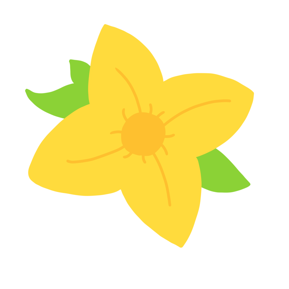 A yellow flower with green leaves png