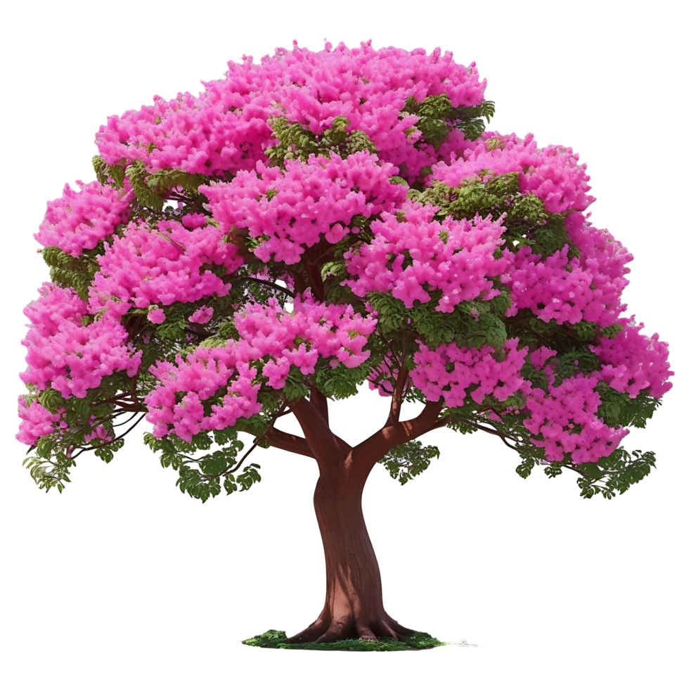 Realistic Blooming Tree Perfect for Digital Art Designs png
