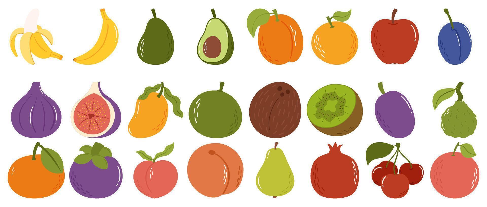 Hand-Drawn Fruit Collection with Tropical and Exotic Fruits in a Modern Flat Style vector