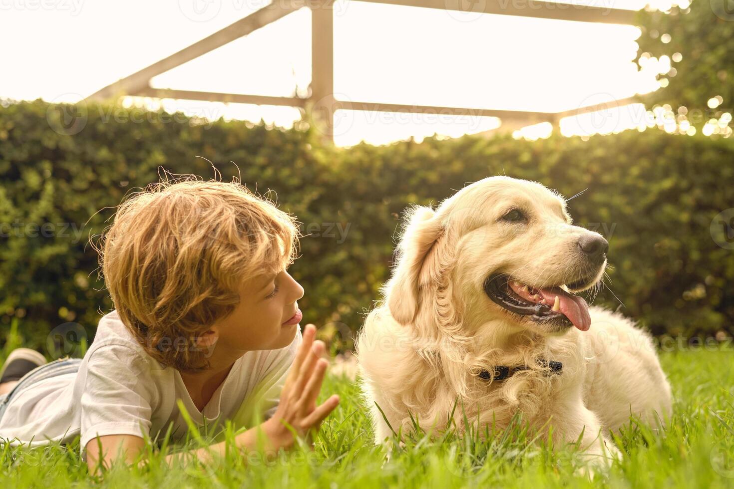Boy lying on grass with dog in park photo