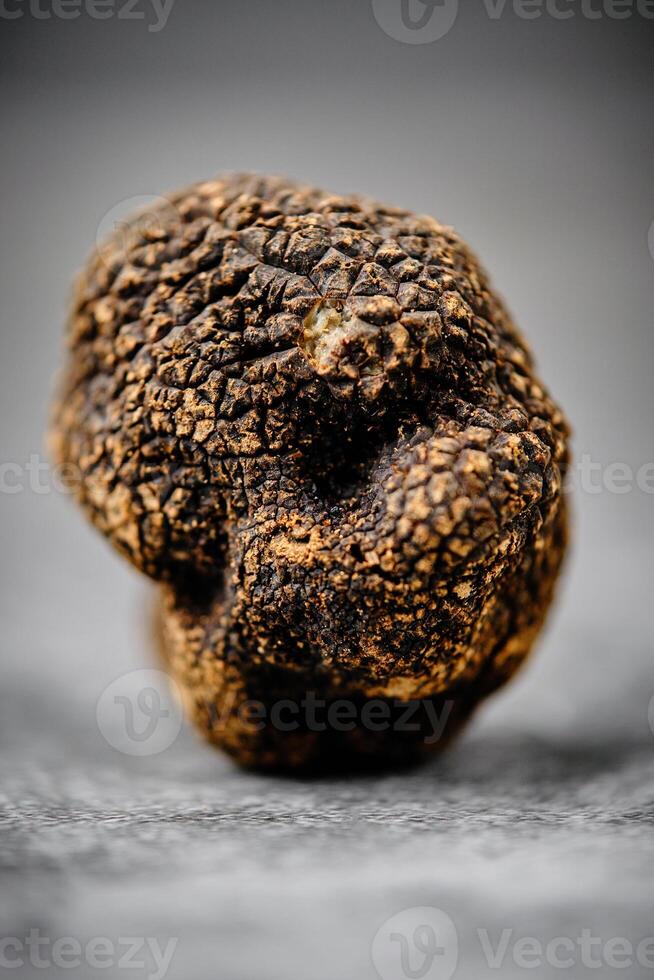 Fresh Black Italian Truffle photo