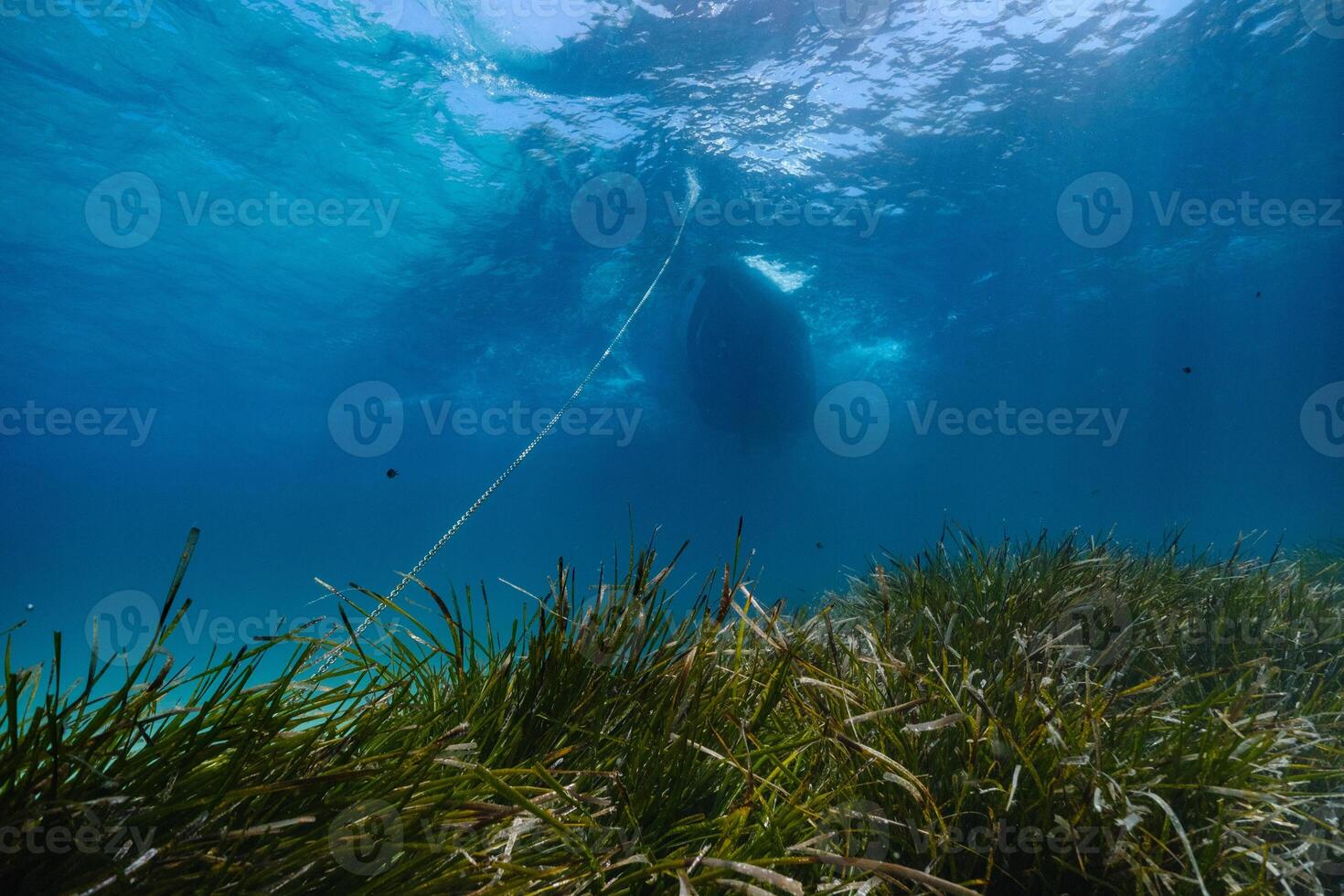 View from bottom of sea on floating yacht photo