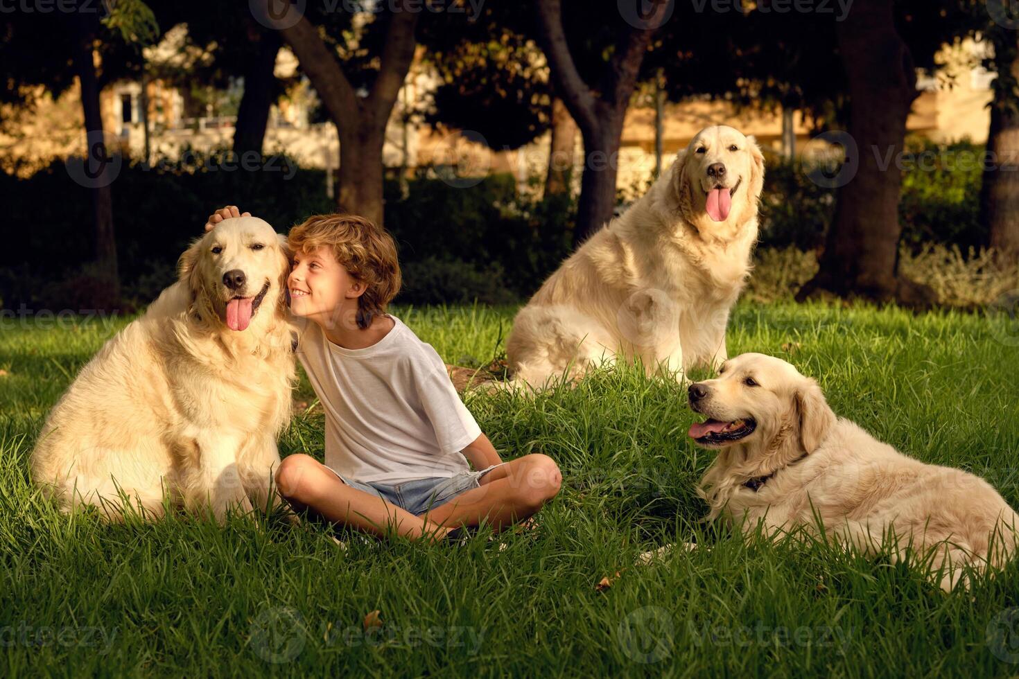 Smiling boy stroking dogs in park photo