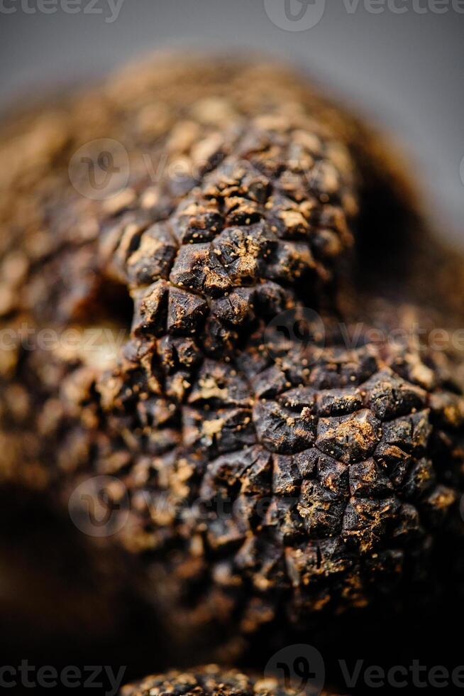Black Truffles Closeup photo