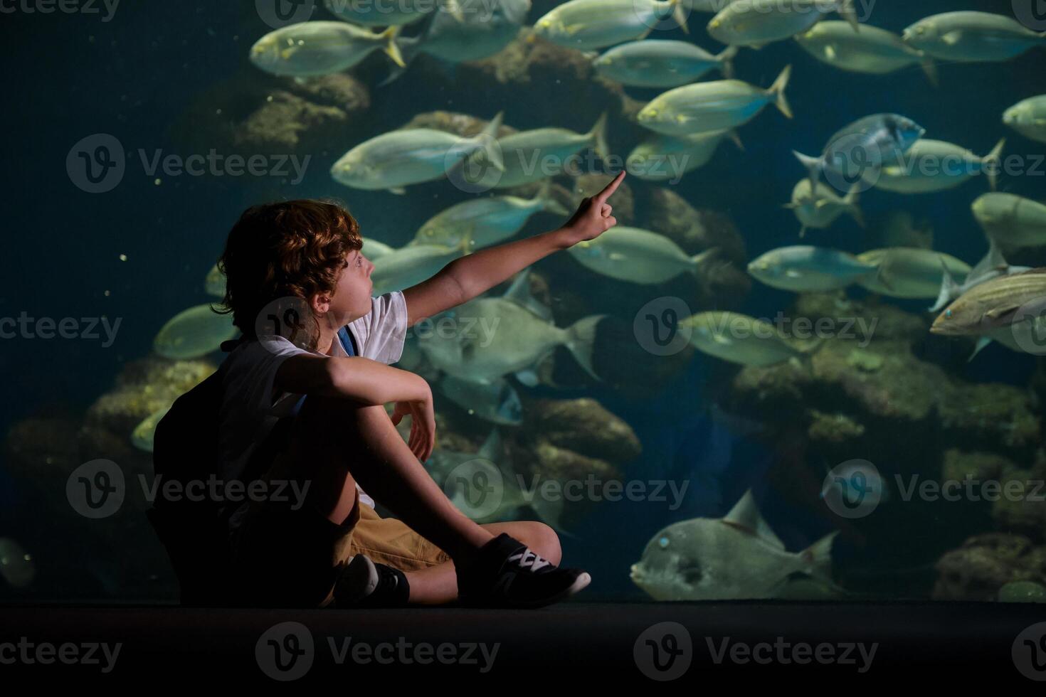 Boy pointing at fish in underwater aquarium photo
