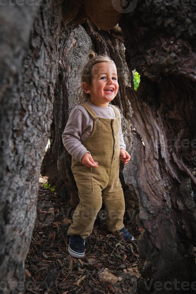 Cheerful little girl standing in thick tree trunk photo