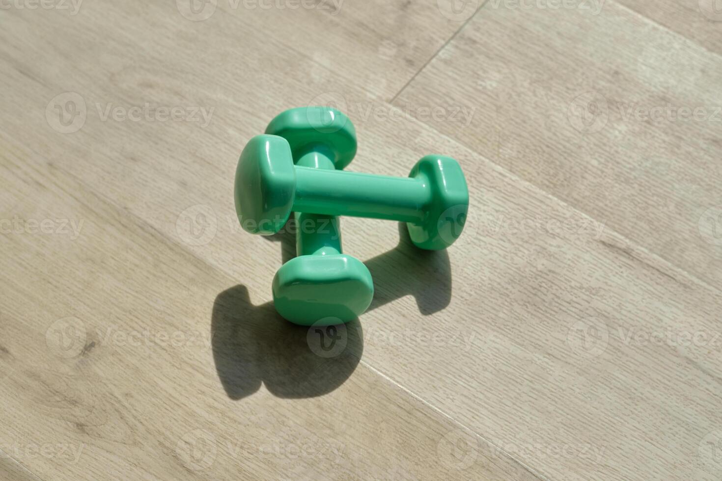 Fitness dumbbells placed on floor photo