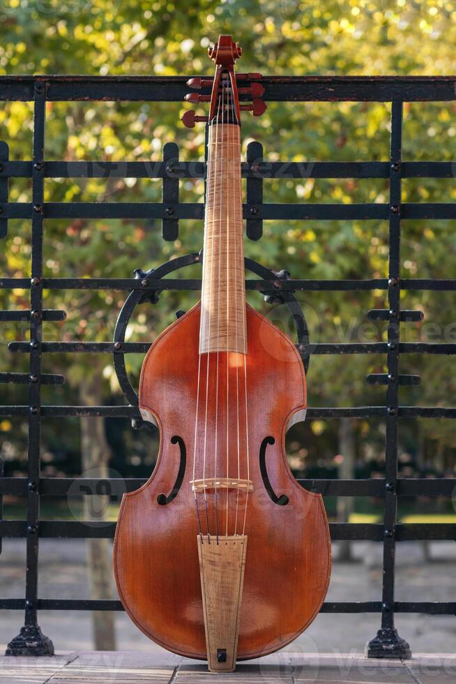 String instrument cello. photo