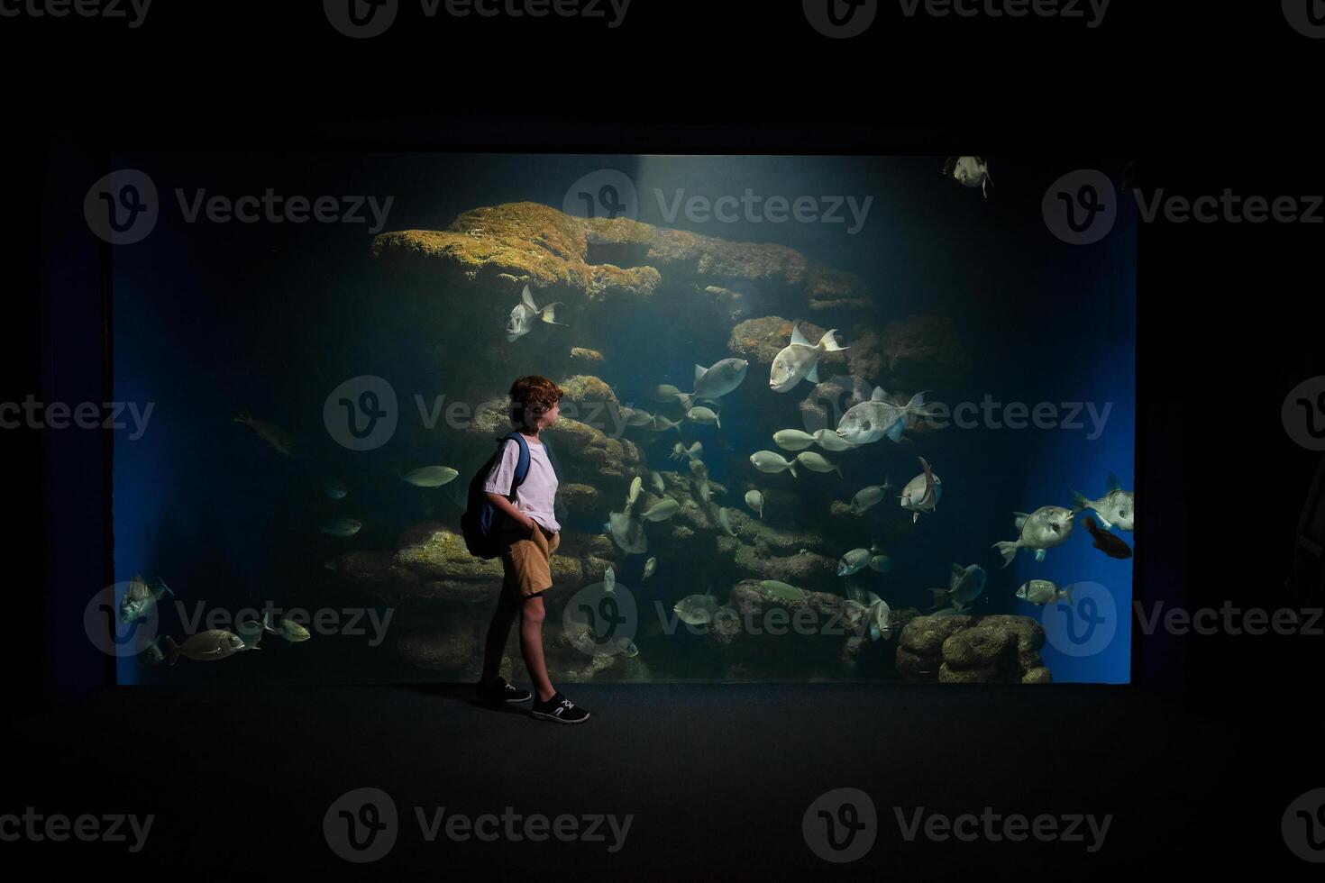 Kid watching marine fish in oceanarium photo