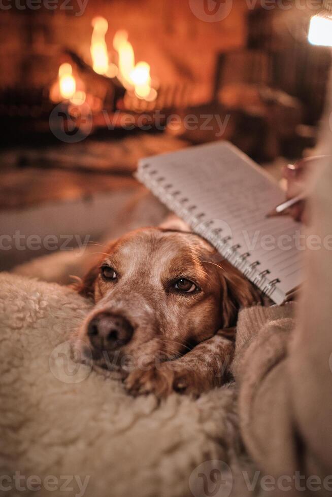 Unrecognizable person with dog writing in notepad photo