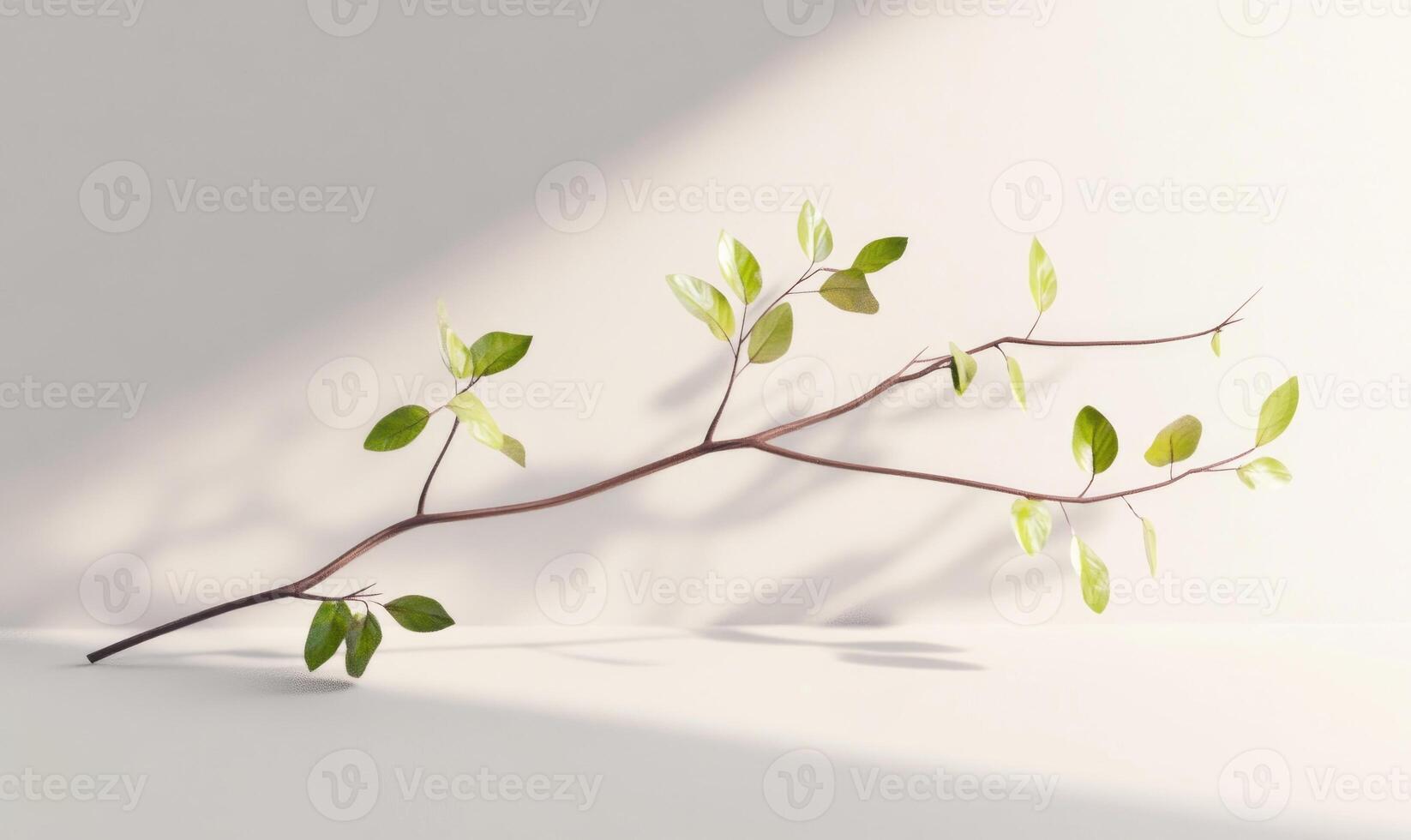 A leafy branch is laying on a white surface photo