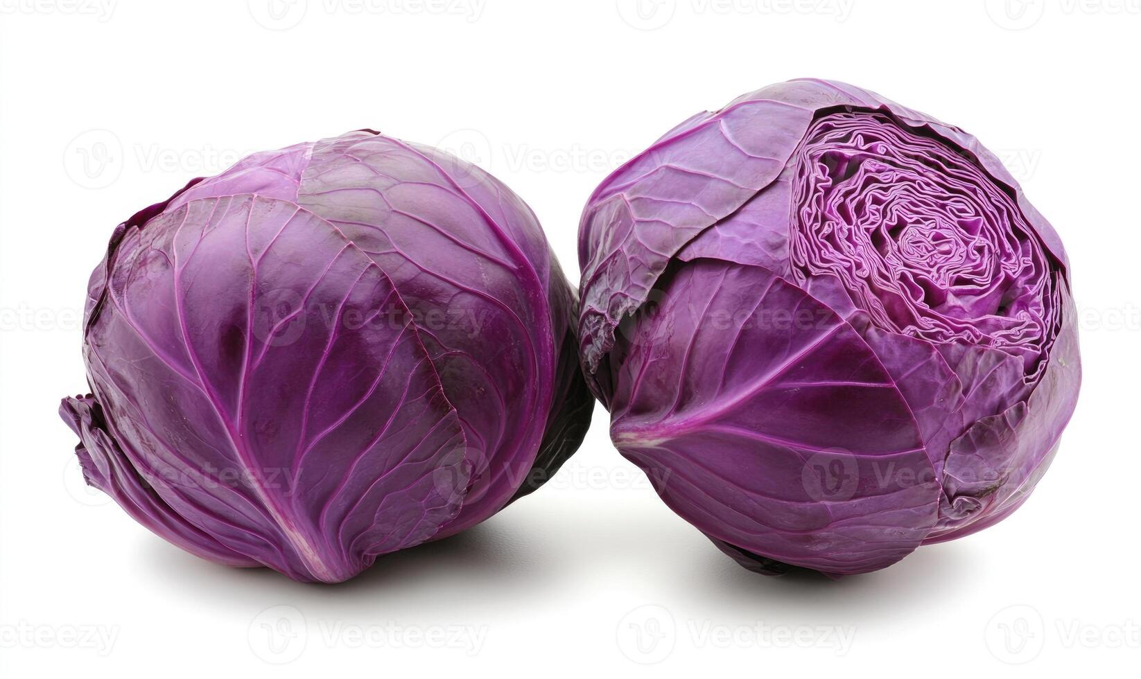 Two purple cabbage heads are on a white background photo