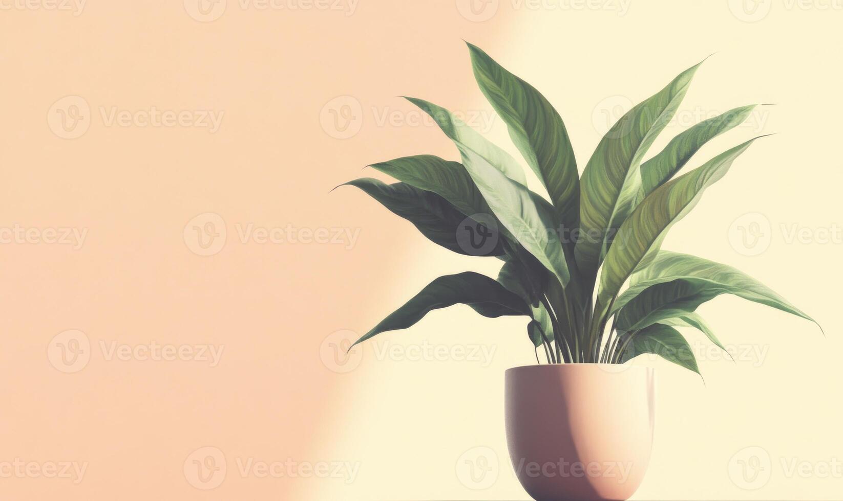 A plant is in a pot on a table photo