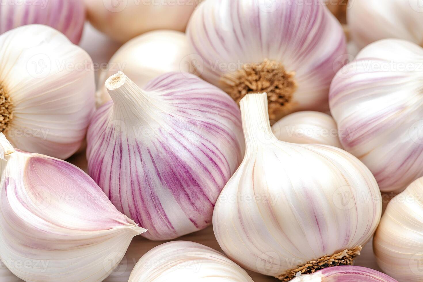Fresh garlic bulbs showing purple stripes creating a beautiful pattern photo