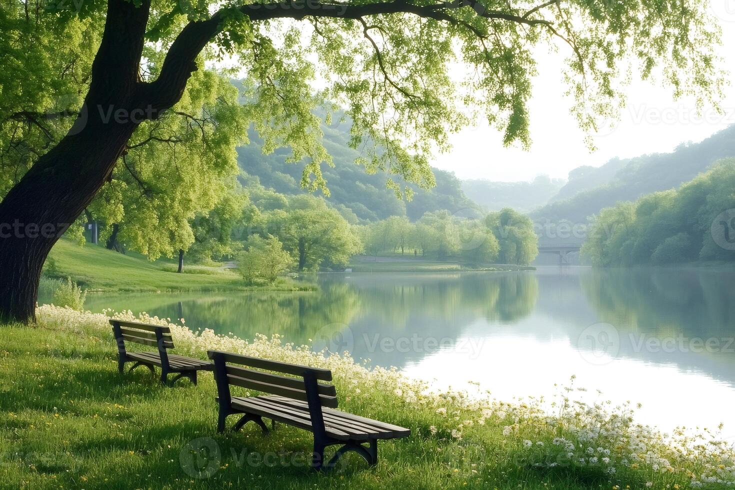 Benches inviting to relax by the lake on a sunny morning photo