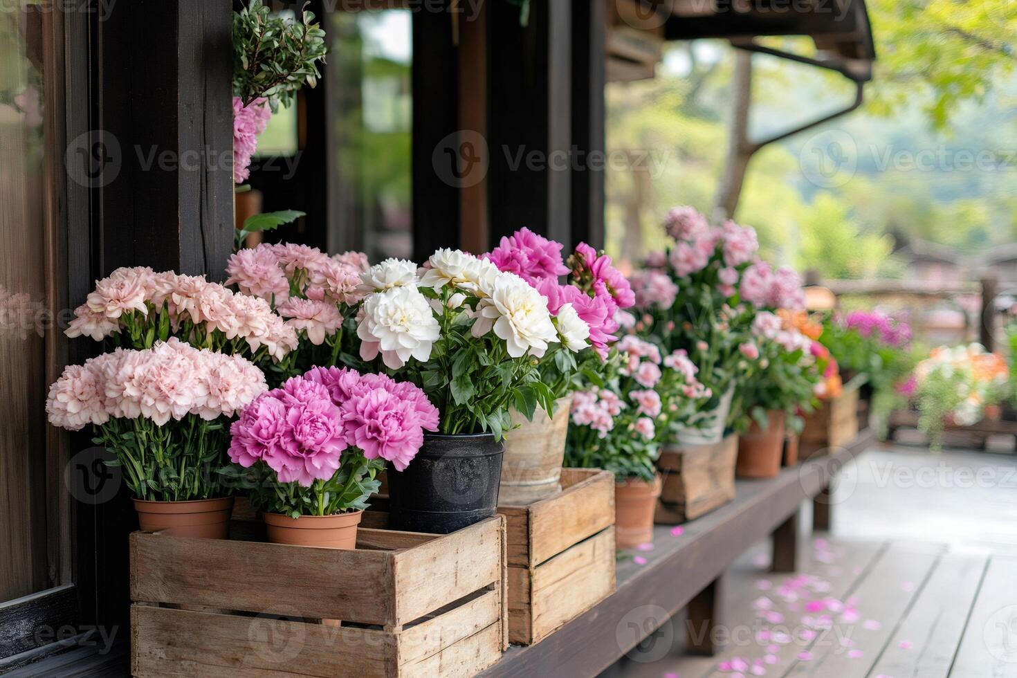 Colorful carnations and peonies decorating a wooden house porch photo