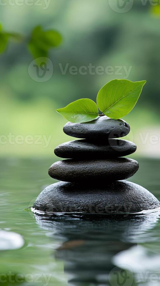 Balancing stones and green leaves emerging from water surface photo