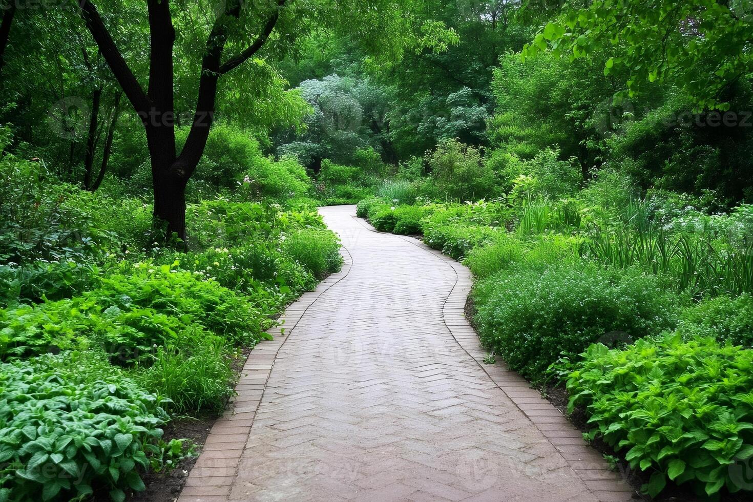 Winding brick path crossing a lush green park in springtime photo