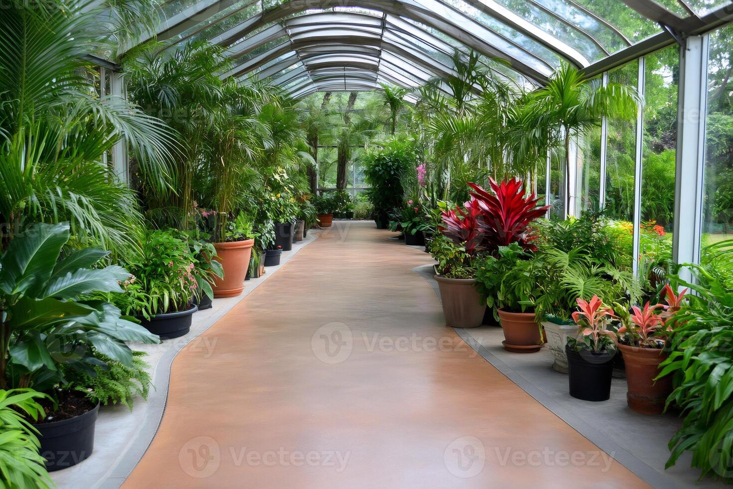 Lush greenery thriving in a tranquil botanical garden greenhouse photo