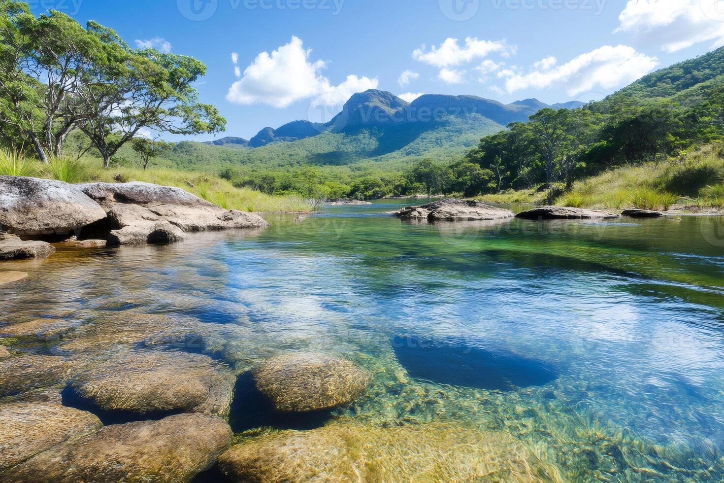Crystal-clear river flowing through the Hinchinbrook Island National Park in Queensland, Australia photo