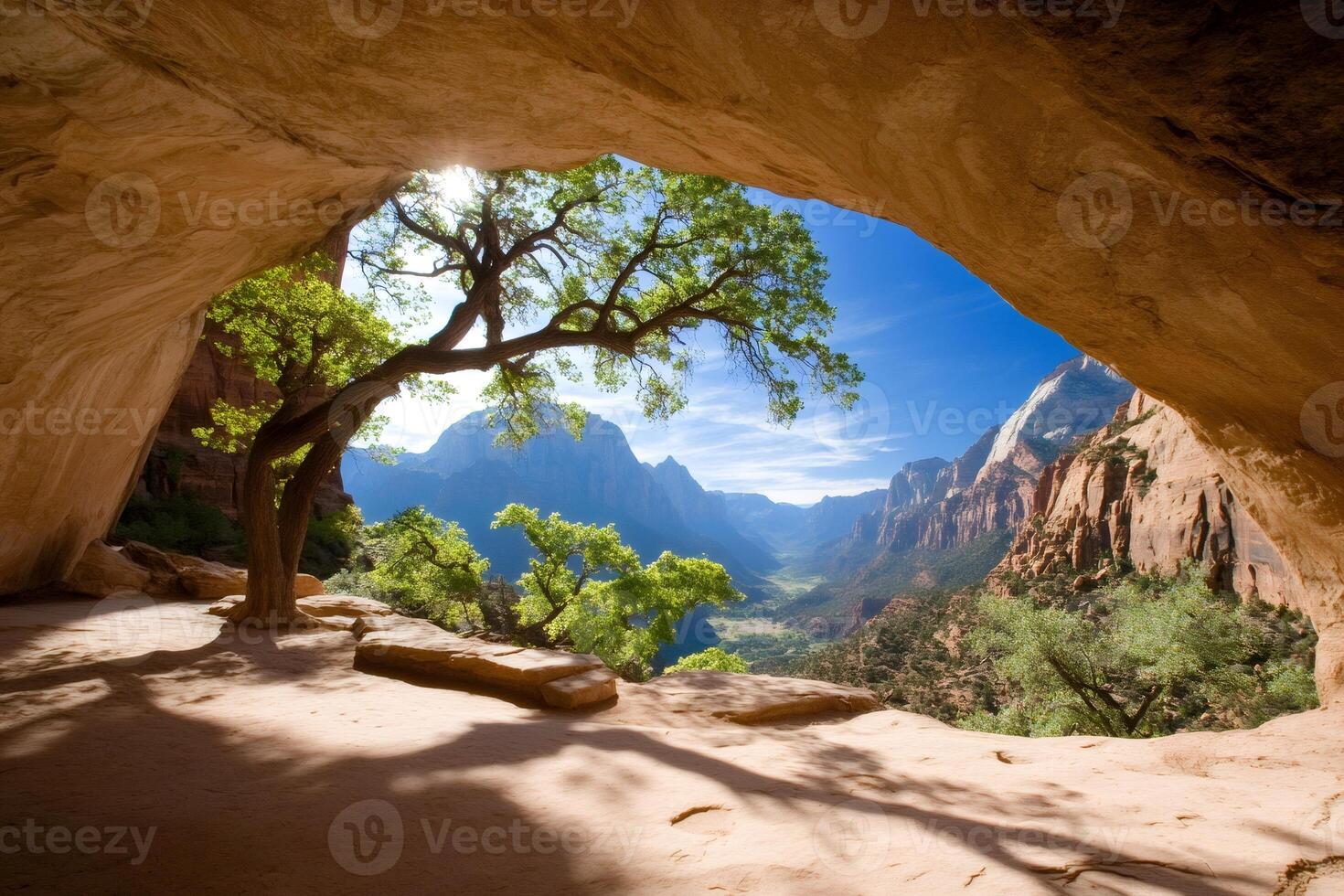 Sun shining through tree growing inside of a cave in Zion National Park photo