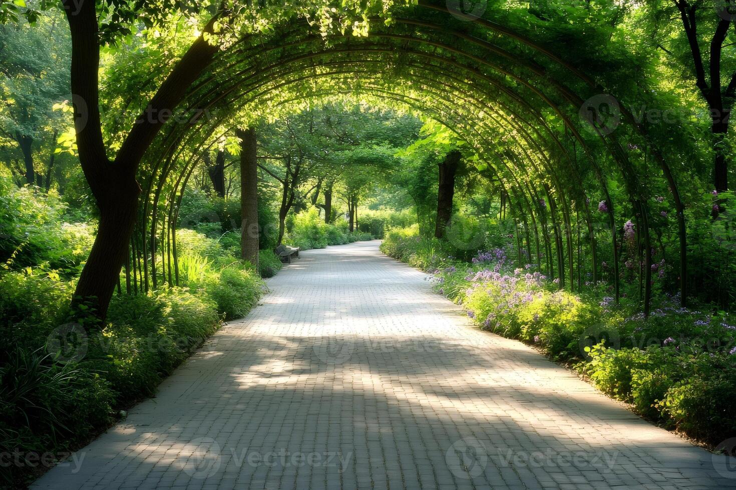 Wonderful green archway covering a paved path in a peaceful park photo