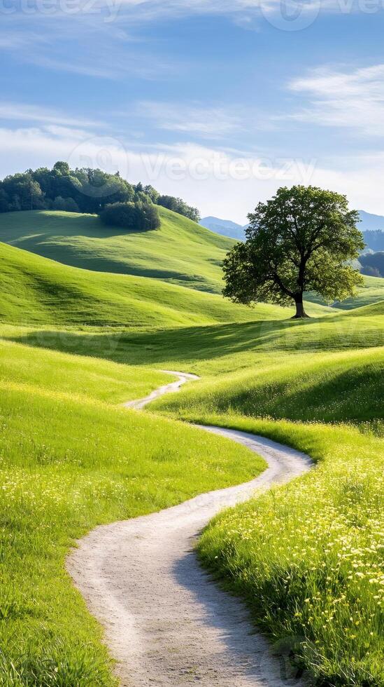 Winding path leading through green rolling hills in summer photo