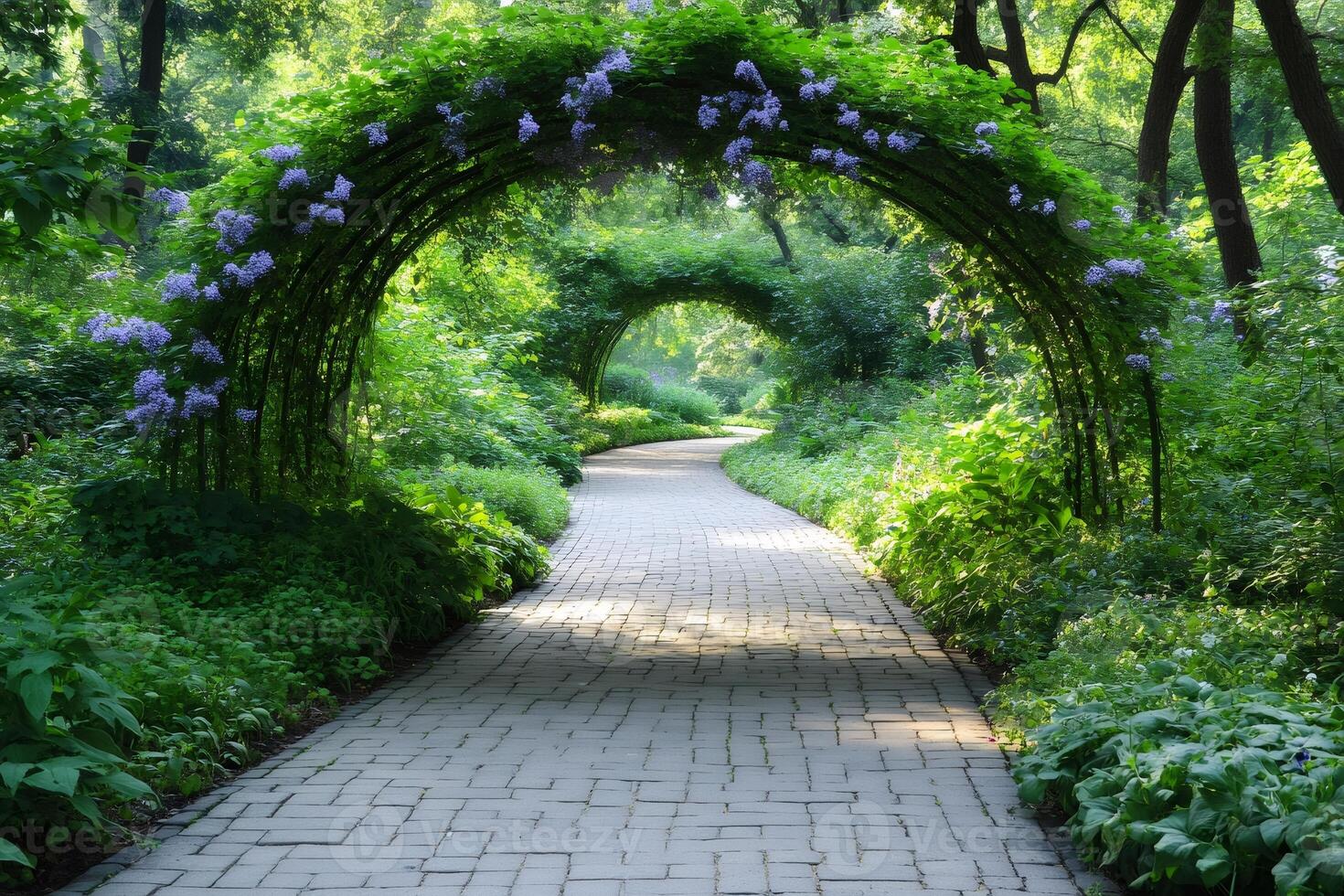 Blooming wisteria floribunda creating beautiful arches over winding brick path in lush green park photo