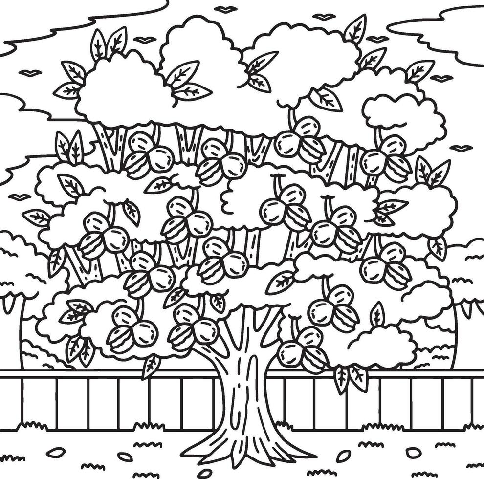 Walnut Tree Fruit Plant Coloring Page for Kids vector