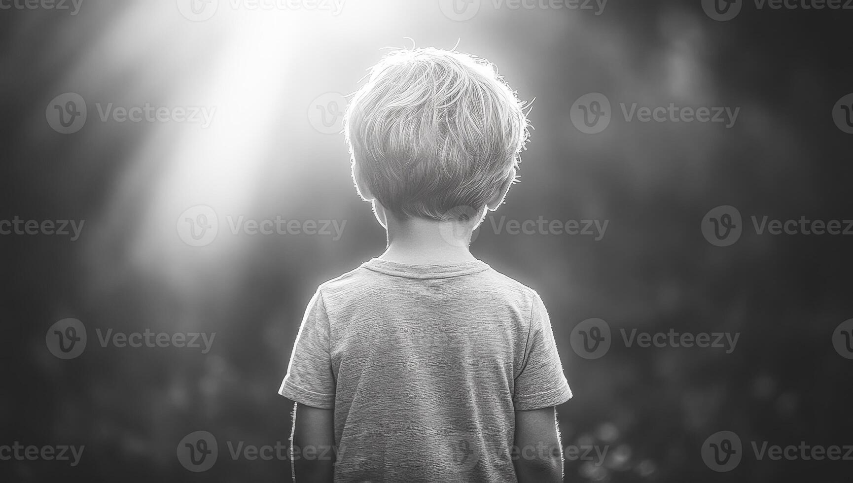Boy gazes into a bright forest light. A young boy stands with his back to the camera, staring into a bright light filtering through trees. photo