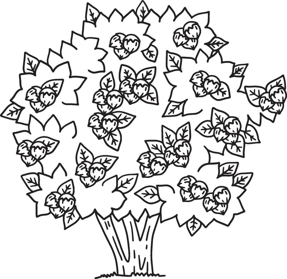 Hazelnut Tree Fruit Plant Isolated Coloring Page vector