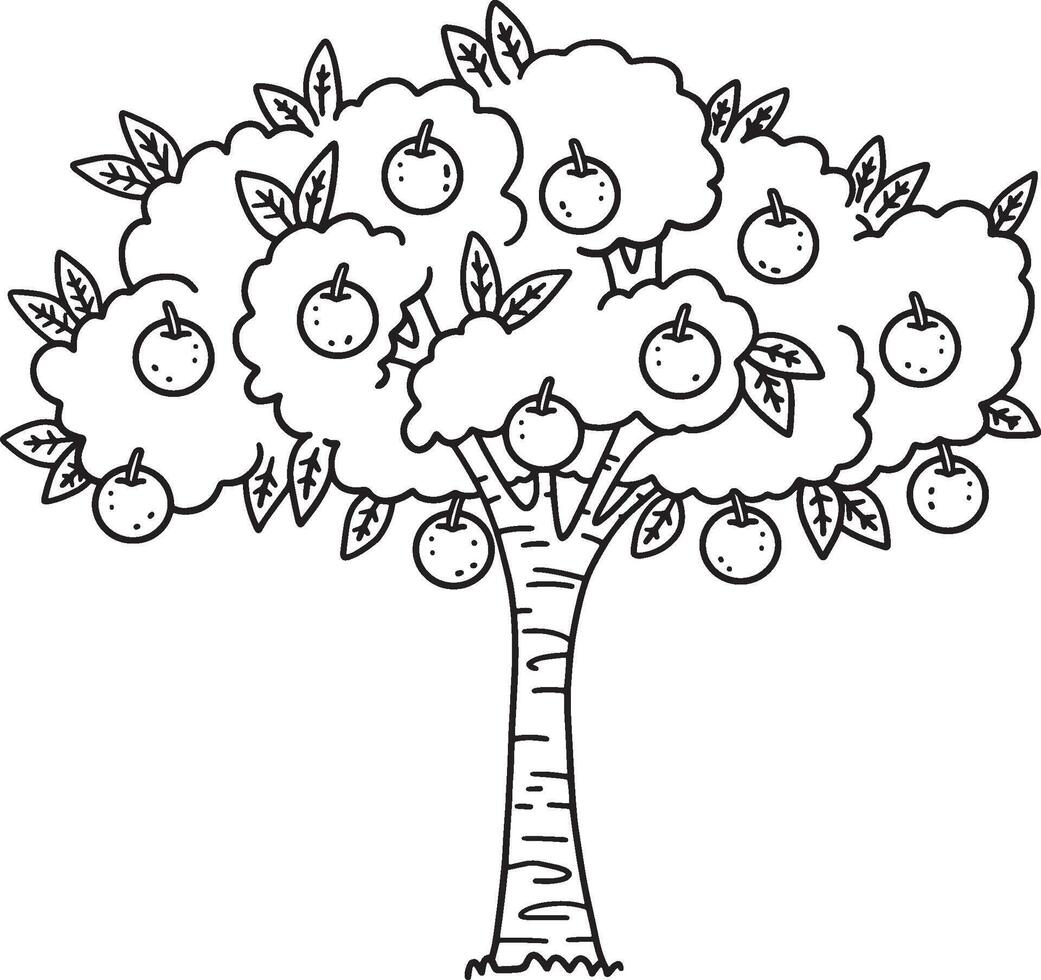 Orange Tree Fruit Plant Isolated Coloring Page vector