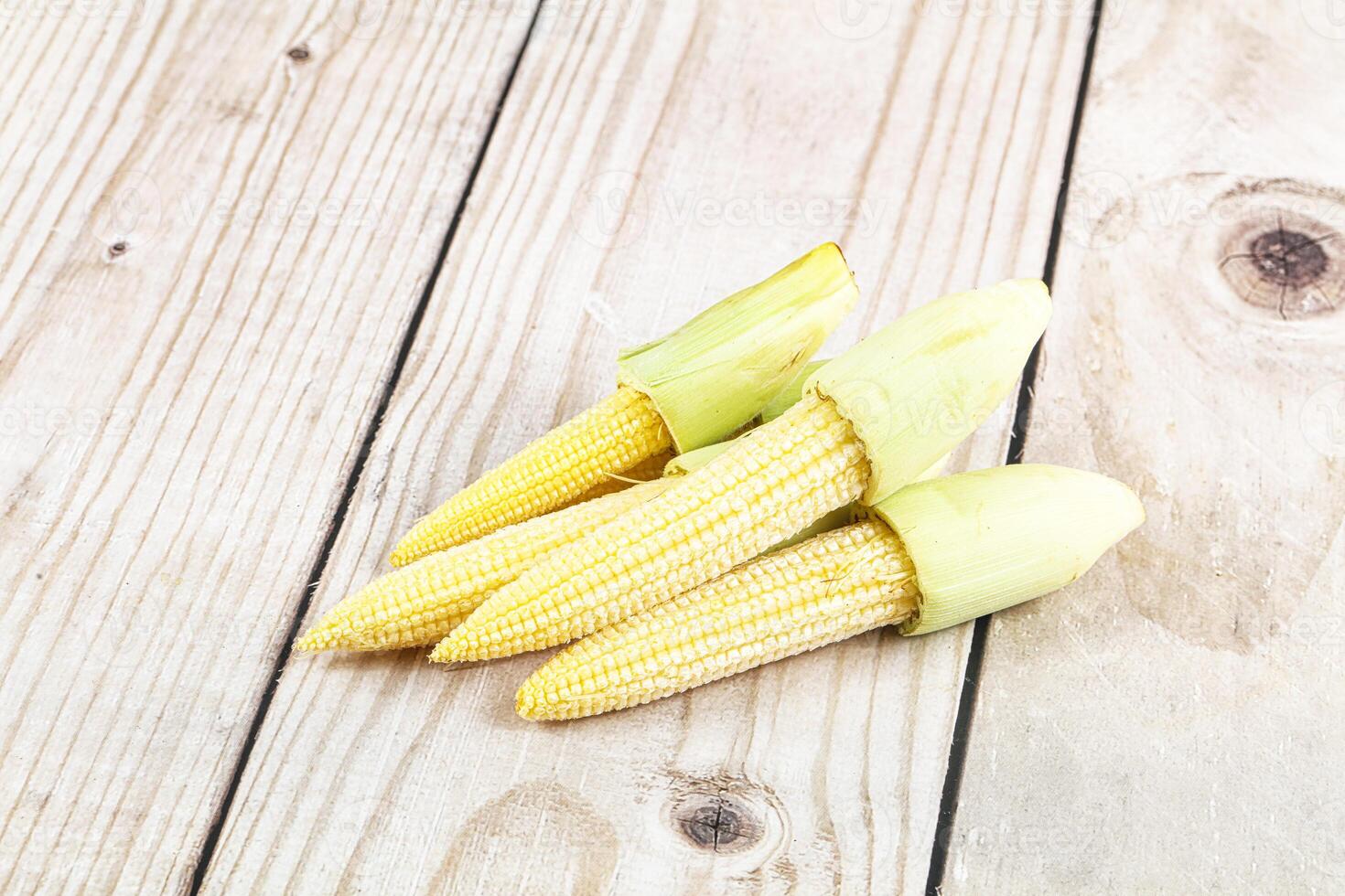 Corn on a wooden table photo