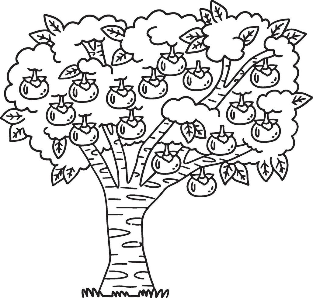 Persimmon Tree Fruit Plant Isolated Coloring Page vector