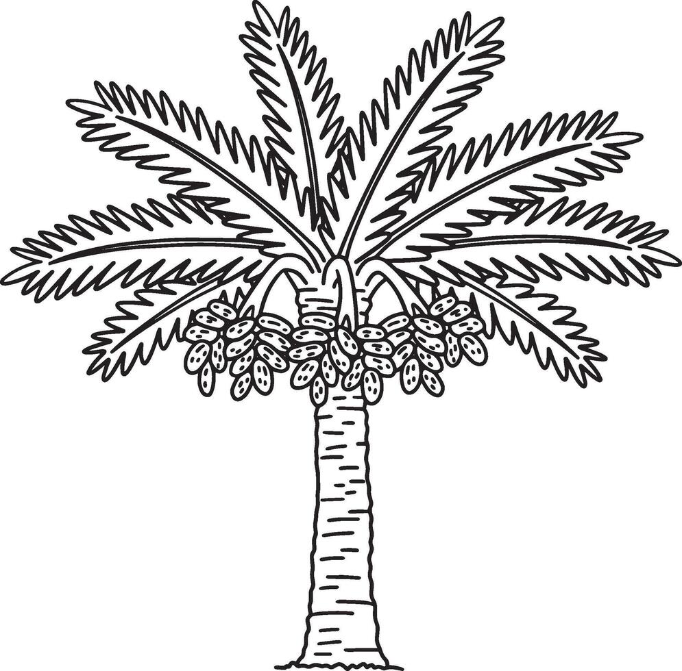 Date Palm Tree Fruit Plant Isolated Coloring Page vector