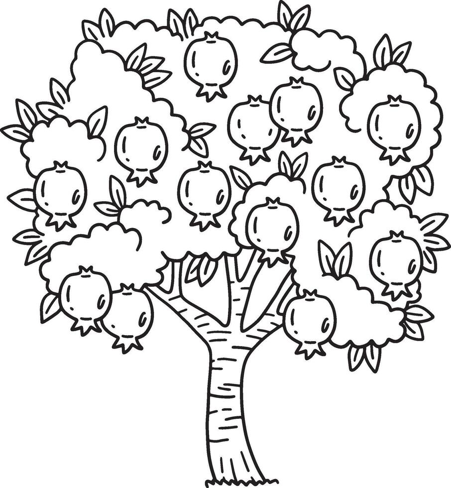 Pomegranate Tree Fruit Isolated Coloring Page vector