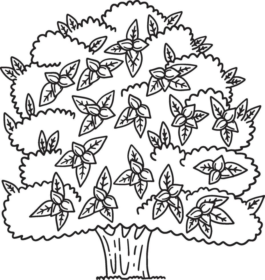 Pecan Tree Fruit Plant Isolated Coloring Page vector