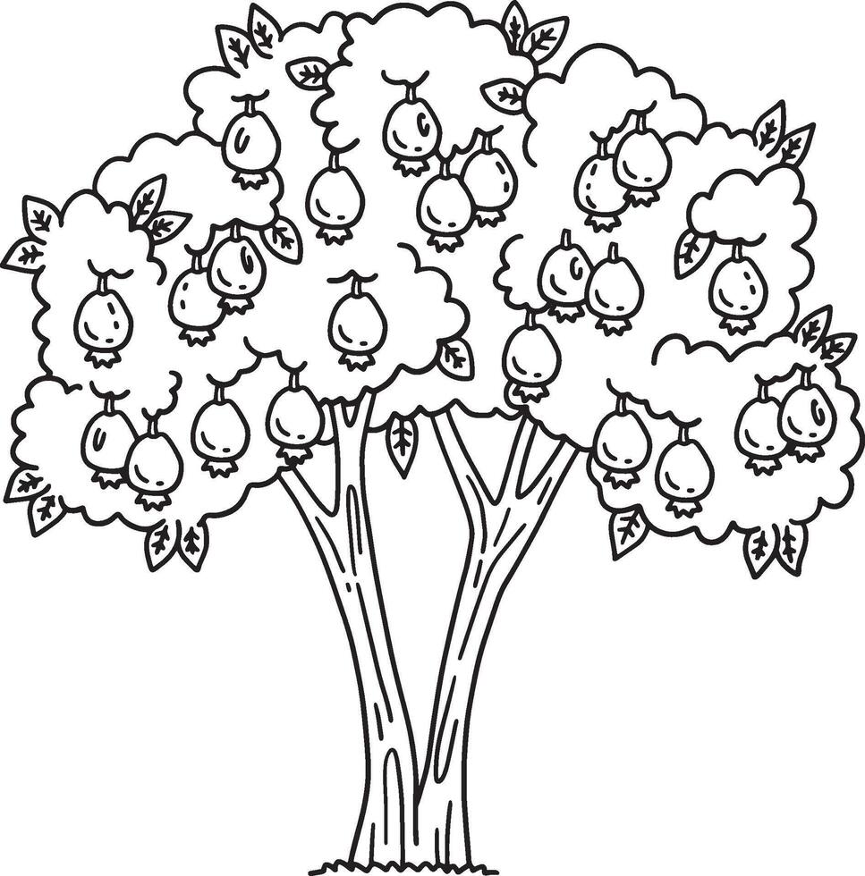 Guava Tree Fruit Plant Isolated Coloring Page vector