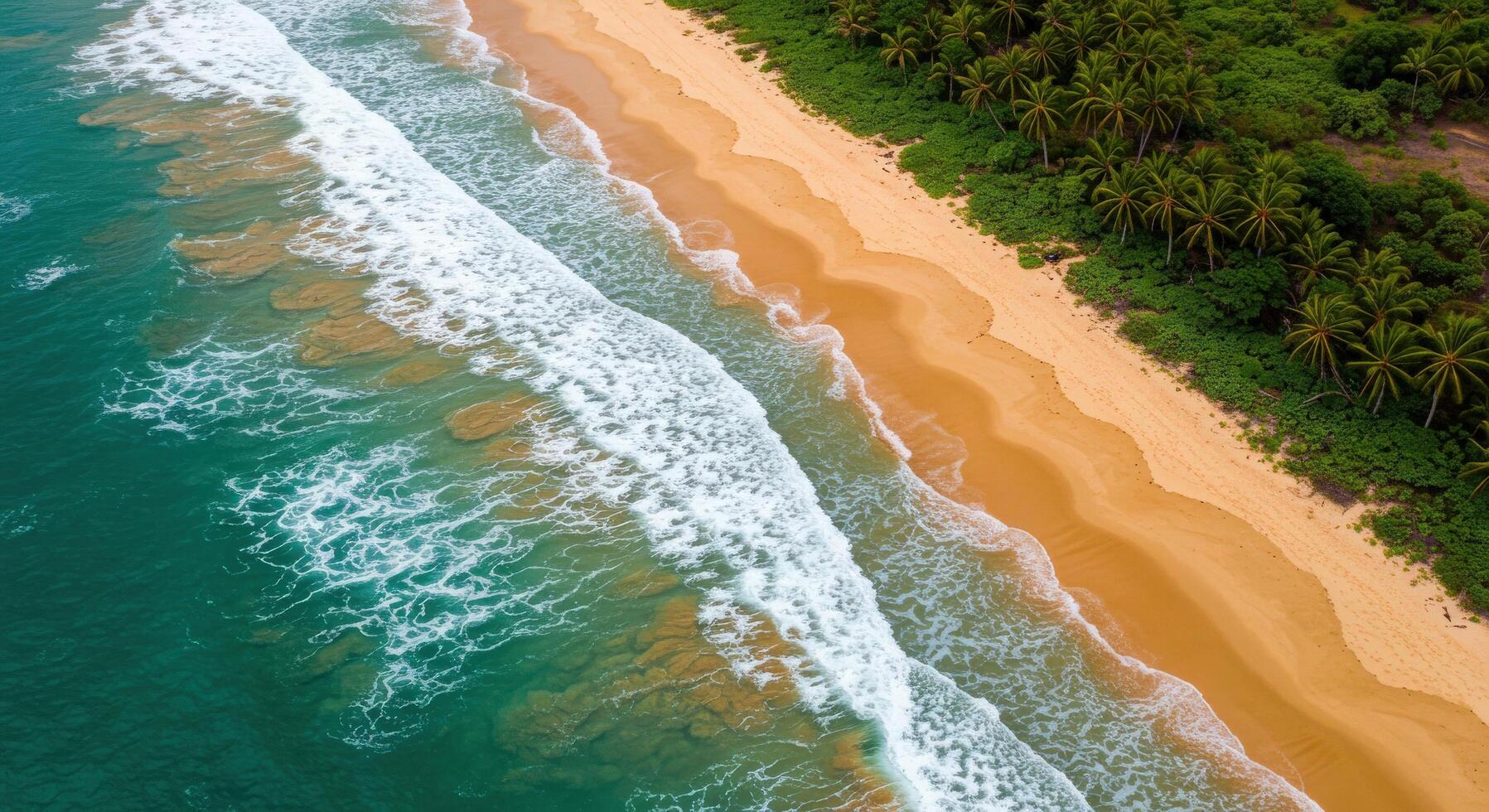 An aerial view of a beach and ocean photo