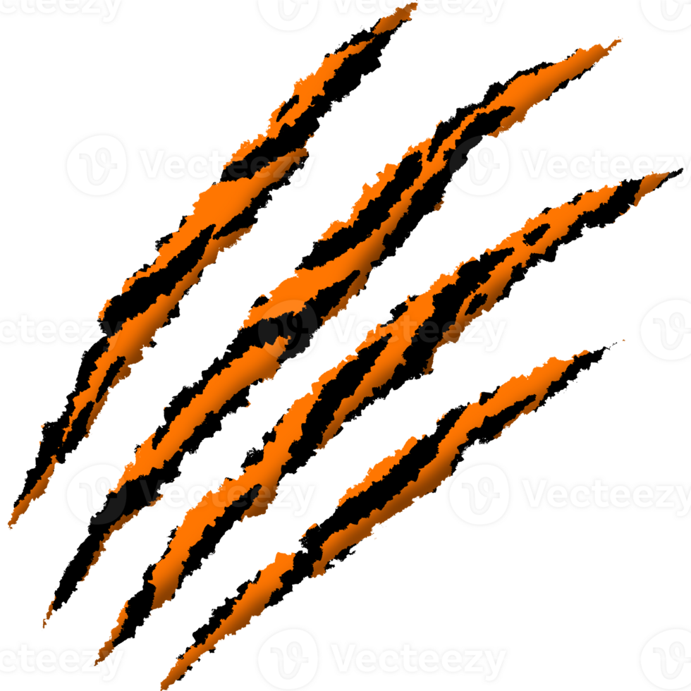 Claws marks. Claw mark tiger pattern. Tiger print png