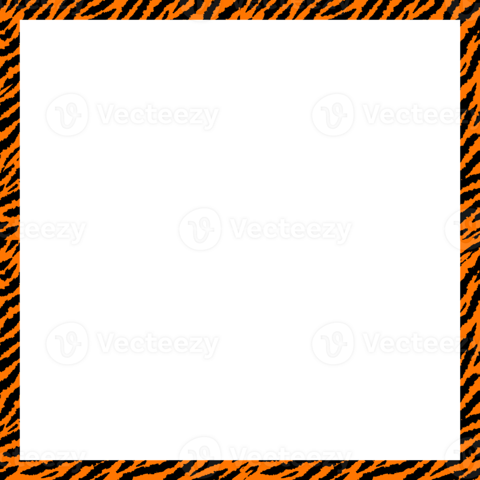 Tiger pattern frame. Square tiger print pattern frame. Tiger seamless pattern png