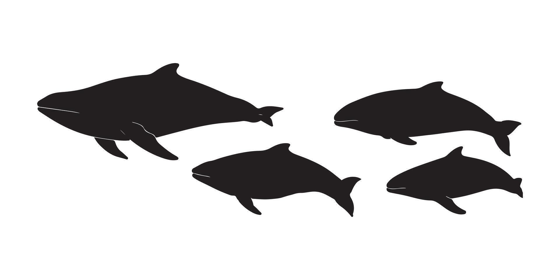 A graphic design featuring four black silhouettes of different sized whales, against a white background. vector