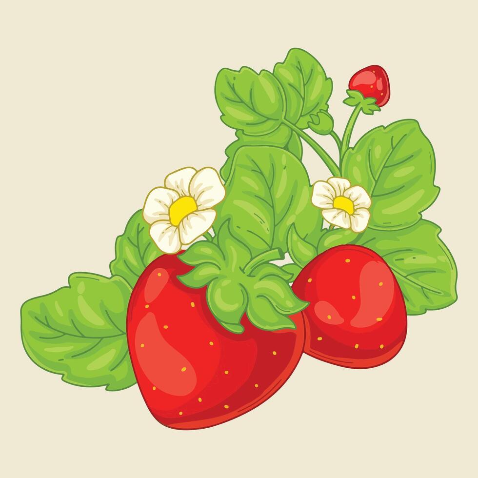 Strawberries with flowers on a light background. illustration vector