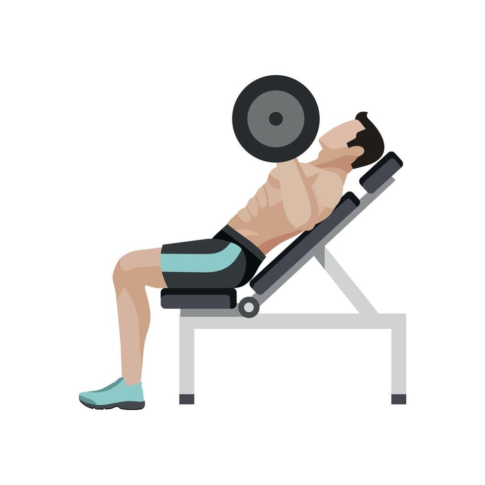 sportsman bodybuilder lightweight athlete on bench with barbell on white background vector